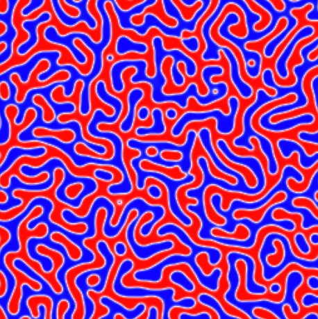 Dynamical Bestiary: Cahn-Hilliard Equation