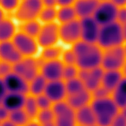Dynamical Bestiary: Kuramoto-Sivashinsky Equation
