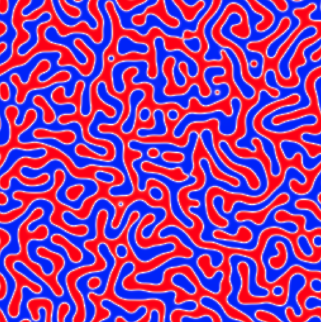 Dynamical Bestiary: Cahn-Hilliard Equation